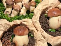 包含?肄?６蘑v蝉逐?晱?瑺€e?嚑r蒕噑R=缝劀蛭G责瘟)?搙y莄桢L睡W瀻0v愠詁N搄鳃!}?'澧疆-im电竞登录